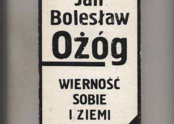 Wierność sobie i ziemi Szkice o autentyzmie - Jan Bolesław Ożóg