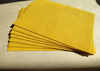 Węza pszczela wielkopolska dadant naturalna