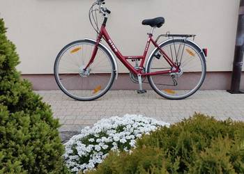 Rower damka PIĘKNA holenderka niemiecka BING schimano 28