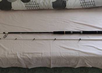 Wędka Mikado Baltix Pilk Jig MH 270 cw.50-200g.