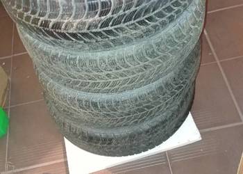 Opony zimowe Dębica Frigo 2 175/65/14