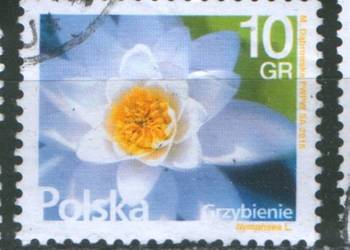 Zn. Fi 4638 kas 2015