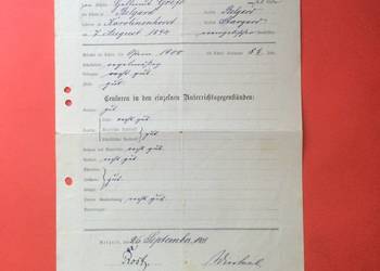 ( 1813 ) Niem. Świadectwo Ukończenia Szkoły Białogard, Grefe