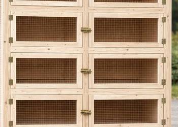 Klatki dla królików