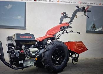 Ogrodnik pełen zakres usług