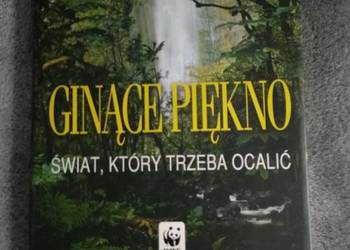 Ginące piękno Świat który trzeba ocalić
