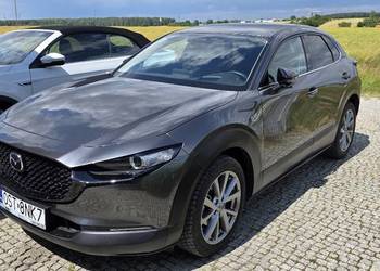CX30 M-Hybrid*186 KM * Aut * Homura * 2023 * FV23%