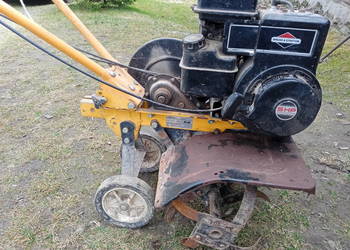Glebogryzarka włoska MAP Cricket 5R silnik Briggs&Stratton