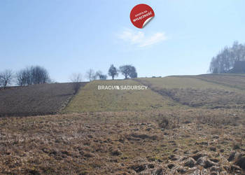 Sprzedaż gruntu Bodzanów 6650 metrów