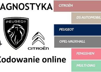 Kodowanie ONLINE Citroen Peugeot DS OPEL Diagnostyka PSA Diagbox +2026