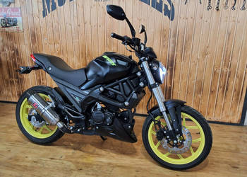 Magnus inny Przepiękny Essai magpower biggers 50 Raty oraz dowóz na całą P…