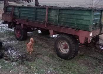 Rozrzutnik Rozrzutnik