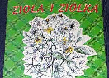 Zioła i ziółka z mojego ogródka - Danuta Tyszyńska-Kownacka