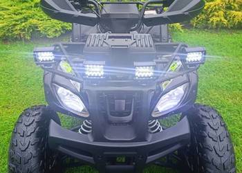 Quad 250 1+1