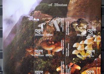 Bhutan arkusik grzyby