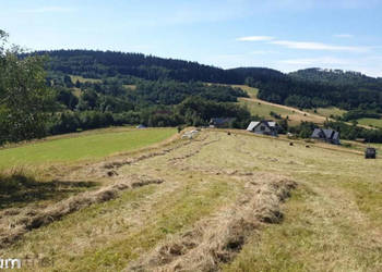 Działka Walim 3566m2