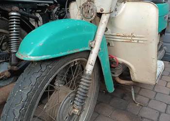 Jawa kaczka 50