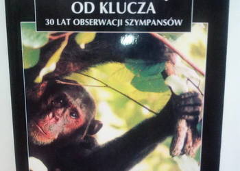 Przez dziurkę od klucza (30 lat obserwacji szympansów)