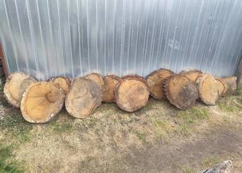 Sprzedam plastry dembu  ostatnie  14szt