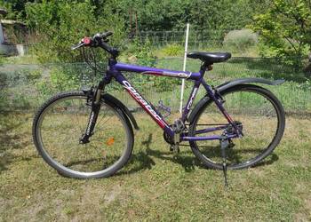 Rower Corratec Base koła 28"