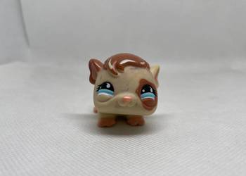 LPS Littlest pet shop świnka morska #683