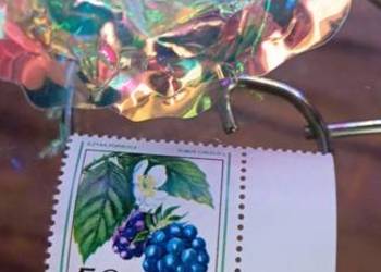 Kolekcjonerski Znaczek Pocztowy - Jeżyna Popielica 50 gr - Czysty