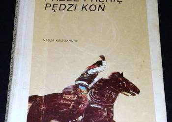 Przez prerię pędzi koń - Vladimír Stuchl