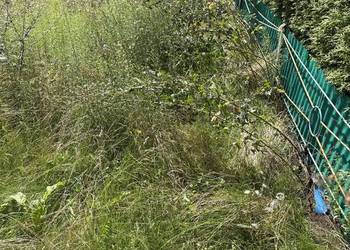 Syndyk sprzeda prawo do użytkowania rodzinnego ogródka działkowego