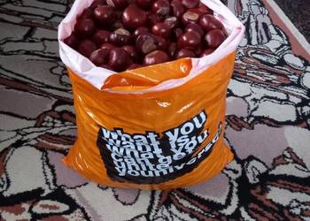 Kasztany tegoroczne NOWE z 2025 roku 1kg