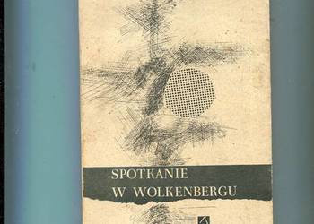 Spotkanie w Wolkenbergu - Katarzyna Suchodolska