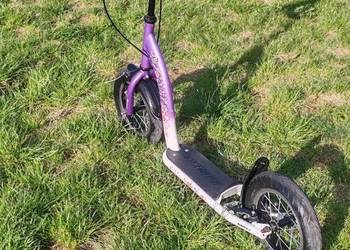 Hulajnoga Bikestar
