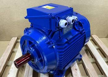 silnik elektryczny 30kW 2940obr. 3fazowy