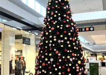 Choinka ozdobna do bardzo dużej powierzchni - wys. 6 m Choinka ozdobna do bardzo dużej powierzchni - wys. 6 m