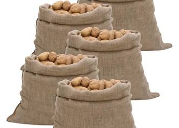 vidaXL Worki jutowe 5 szt. 100x110 cm 100%(SKU:155781)