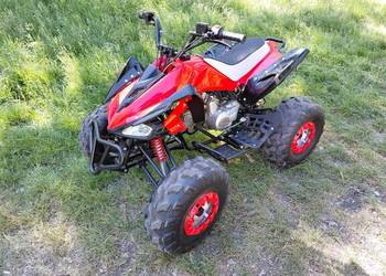 Quad 110 po remoncie (panthera)