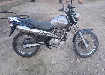 Honda CLR 125 Cityfly