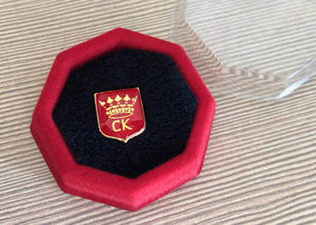 Wpinka pin Herb Kielc wys 12mm ( Kielce )