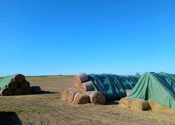 Słoma baloty 120x120