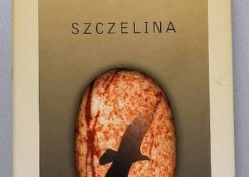 Szczelina -  Doris Lessing