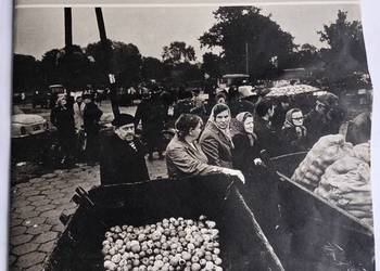,,Panorama Północy" czasopismo z  29 listopada 1981r