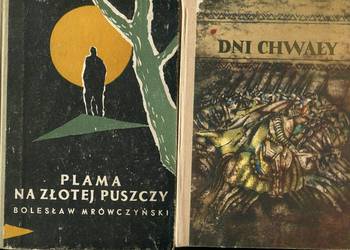 Dni chwały , Plama na Złotej Puszczy - Bolesław  Mrówczyński