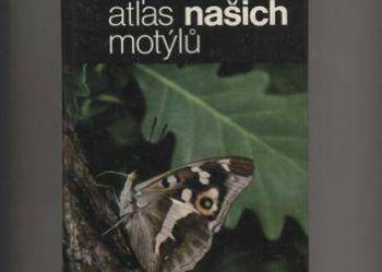 Kapesni atlas nasich motylu