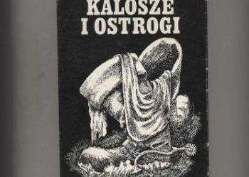 Kalosze i ostrogi czyli pamiętnik podchorążego
