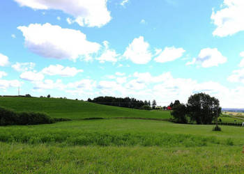 Działka 3003 metry Olszanka