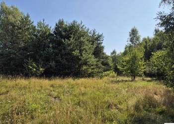 Grunt 2999m2 Oleśnica