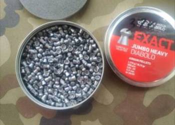 Śrut 5,53 mm JSB Exact Jumbo 310szt.