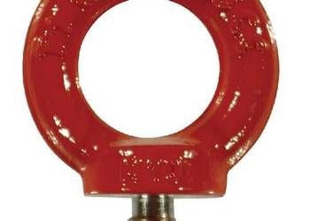 Śruba oczkowa o podwyższonej wytrzymałości kl. 8.8 8000 kg M24 RSH024