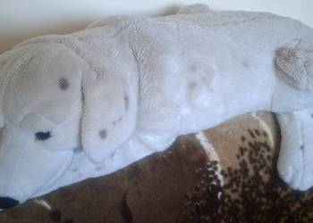 Duża maskotka, pies, poduszka pluszak leżący 111 cm