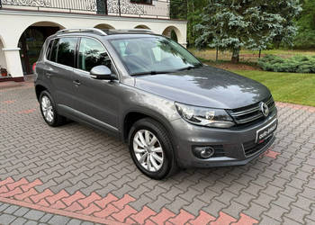 Volkswagen Tiguan 1.4 TSI Kamera cofania Alcantara Hak Nowy akumulator Lif…