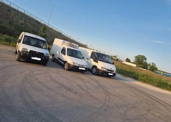 TRANSPORT Towarów Chłodniczy Spożywczy CHŁODNIA Izoterma 0*C